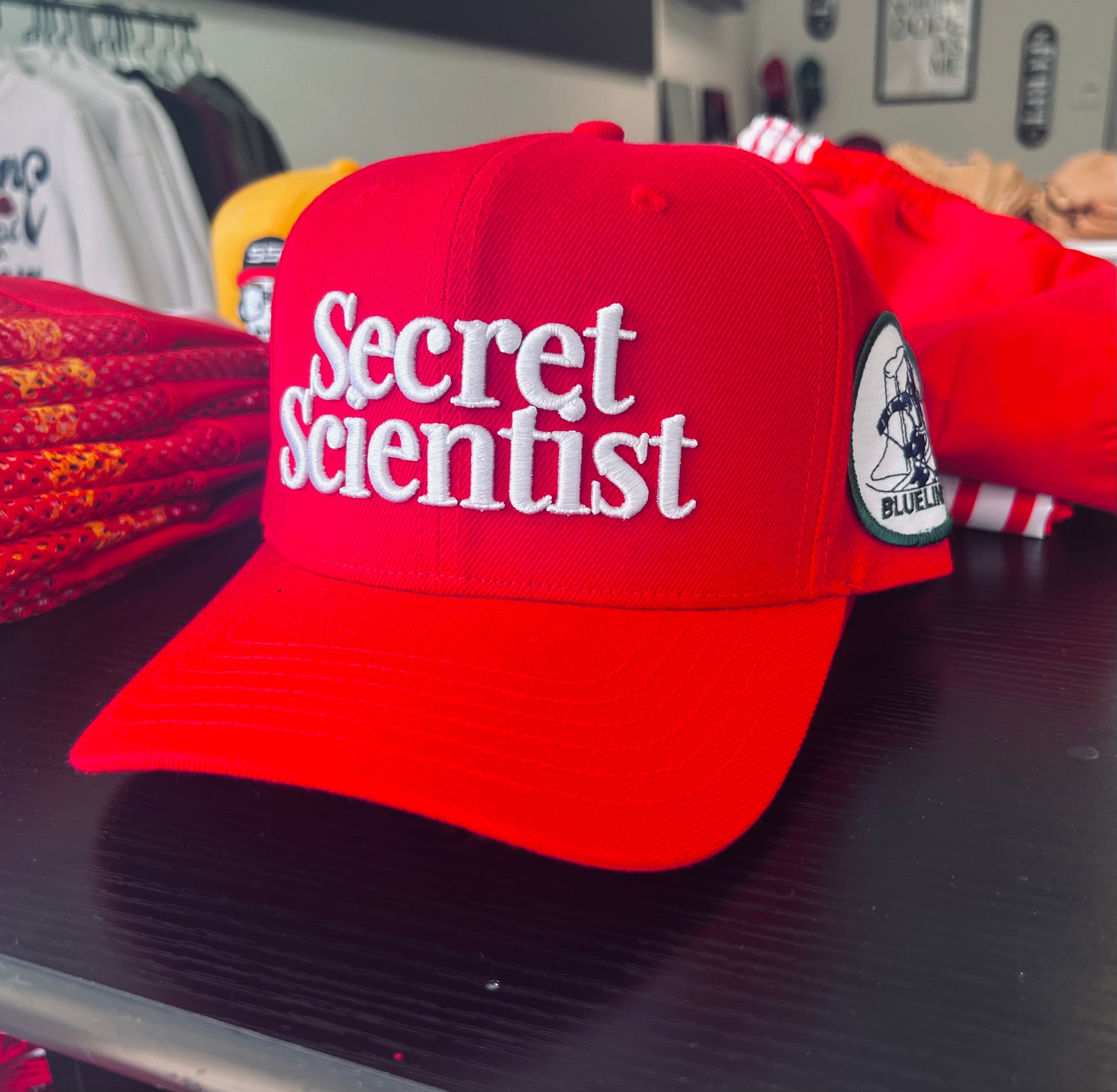 Secret Scientist Script Snapback